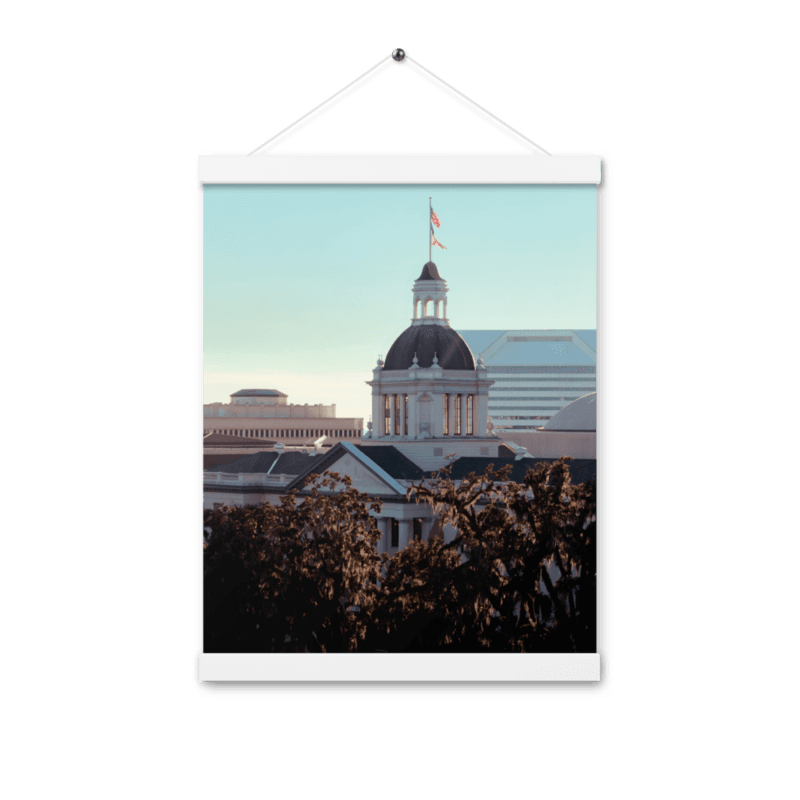 Old Capitol | Hanger Poster