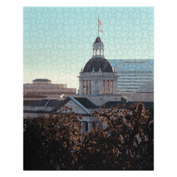 Old Capitol | Puzzle — 520 pieces