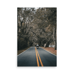 Miccosukee Road | Poster — 24″×36″