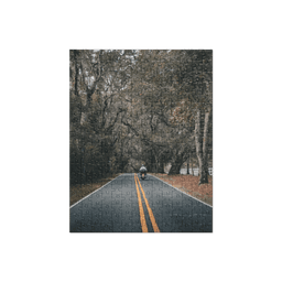 Miccosukee Road | Puzzle — 252 pieces