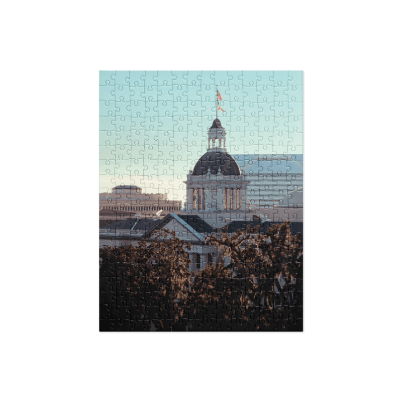 Old Capitol | Puzzle