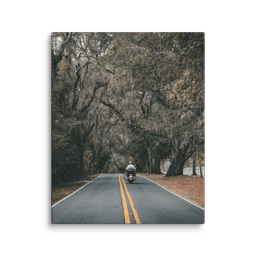 Miccosukee Road | Canvas — 8″×10″