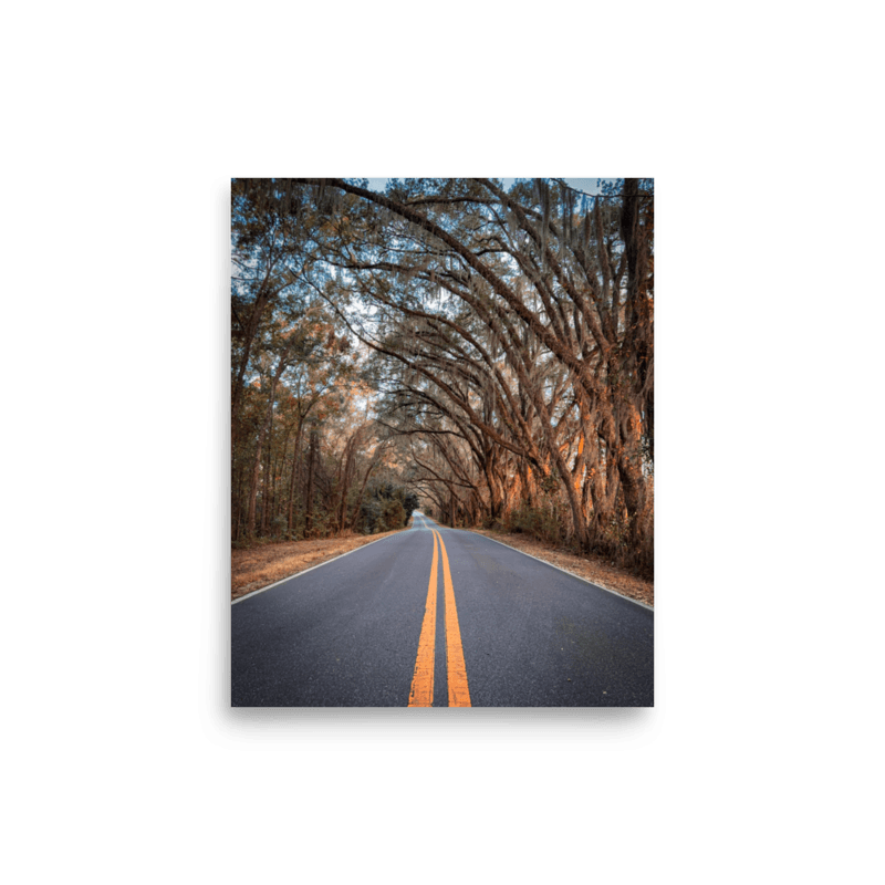 Miller Landing Road | Poster