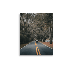 Miccosukee Road | Poster — 11″×14″