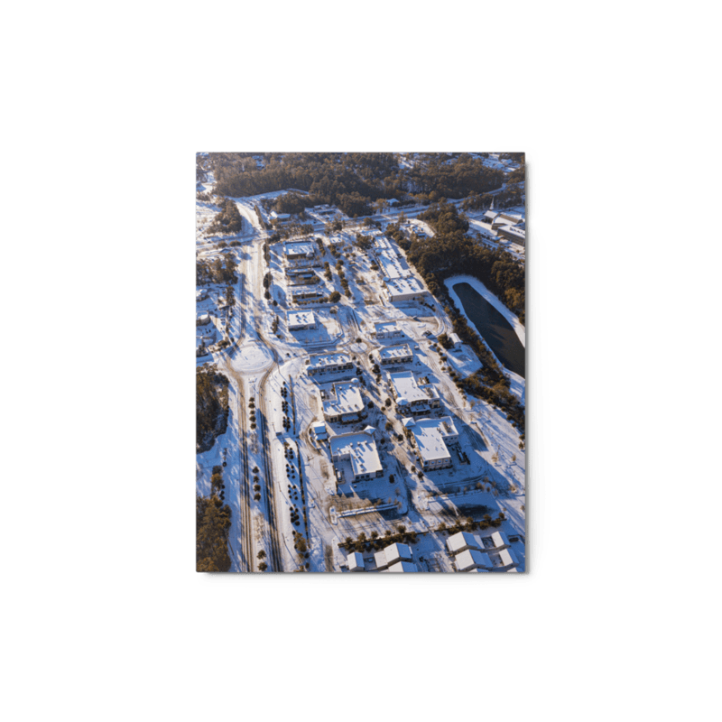 Snowy Bannerman Crossings | Metal Print