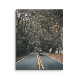 Miccosukee Road | Canvas — 11″×14″