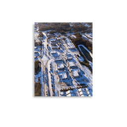 Snowy Bannerman Crossings | Poster — 11″×14″