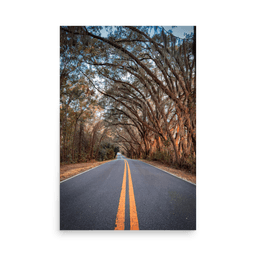 Miller Landing Road | Poster — 24″×36″