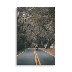 Miccosukee Road | Canvas — 8″×12″