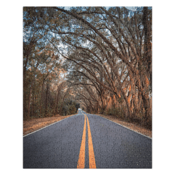 Miller Landing Road | Puzzle — 520 pieces