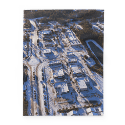 Snowy Bannerman Crossings | Blanket — 30″×40″