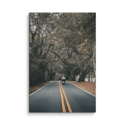Miccosukee Road | Canvas — 16″×24″