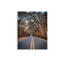 Miller Landing Road | Poster — 11″×14″