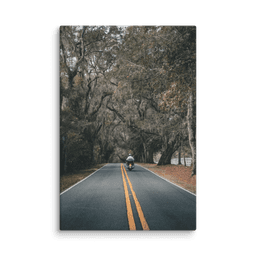 Miccosukee Road | Canvas — 32″×48″