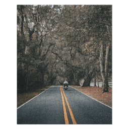 Miccosukee Road | Puzzle — 520 pieces