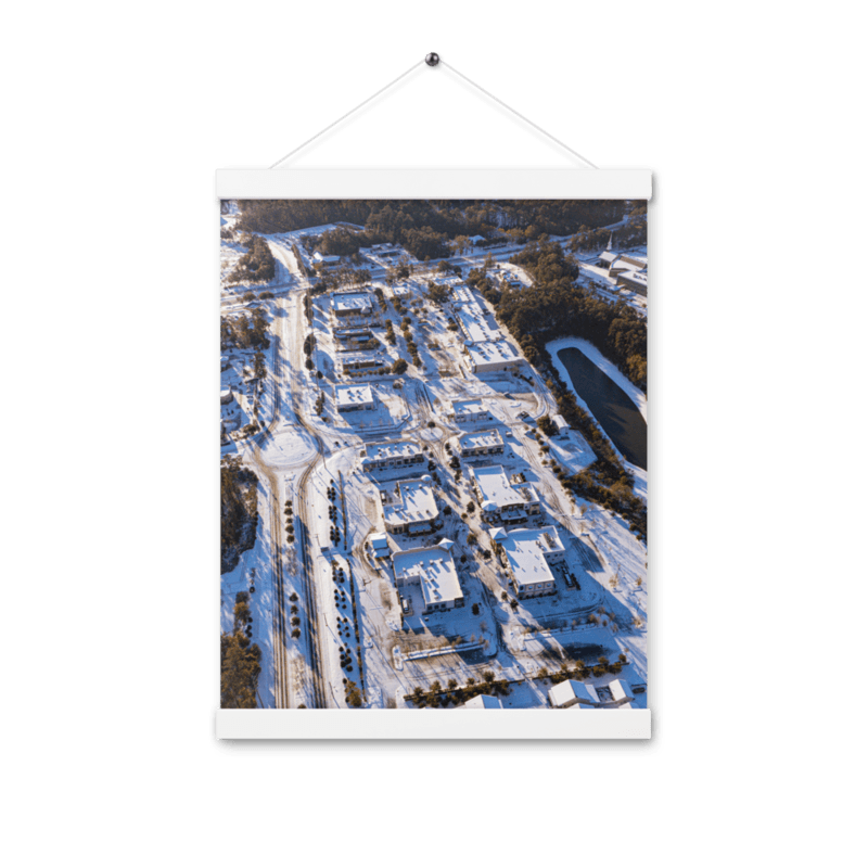 Snowy Bannerman Crossings | Hanger Poster