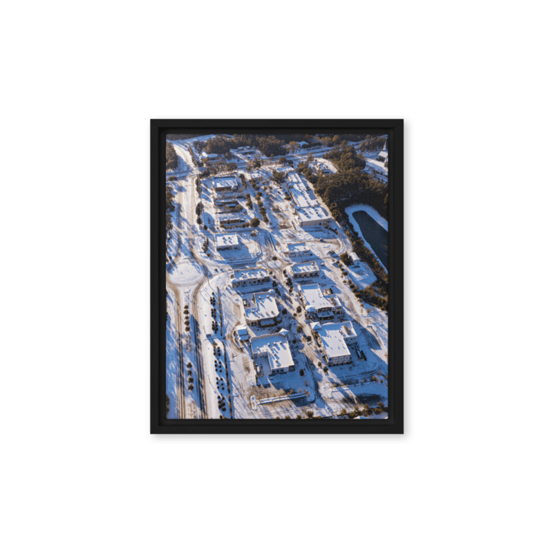 Snowy Bannerman Crossings | Framed Canvas
