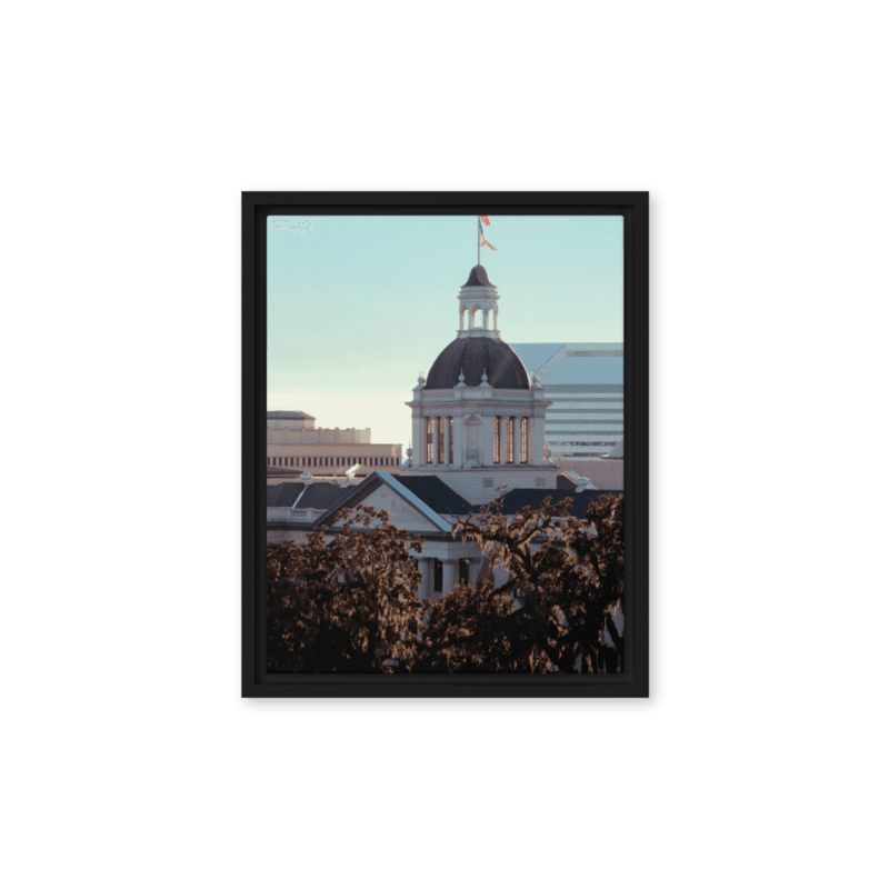 Old Capitol | Framed Canvas