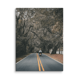 Miccosukee Road | Canvas — 18″×24″