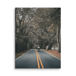 Miccosukee Road | Canvas — 24″×32″