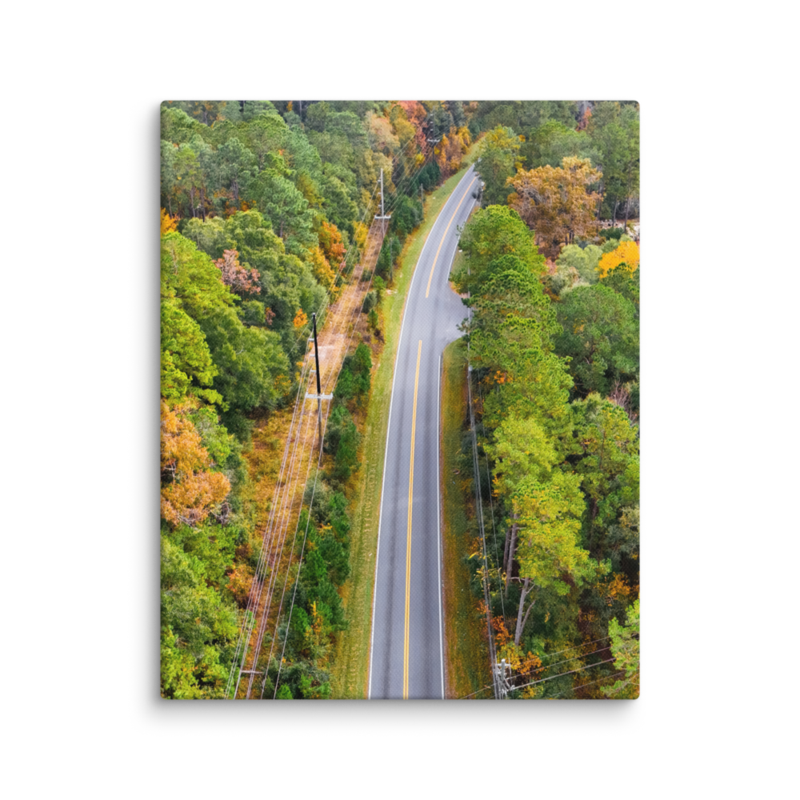 Bannerman Road | Canvas — 8″×10″